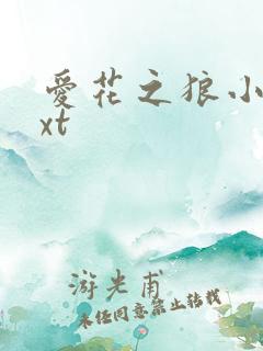 爱花之狼小说txt