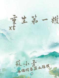 重生第一权臣txt