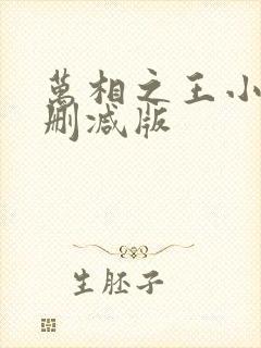 万相之王小说未删减版