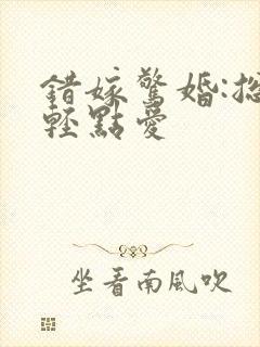 错嫁惊婚:总裁轻点爱