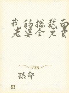 我的总裁白富美老婆全免费的小说