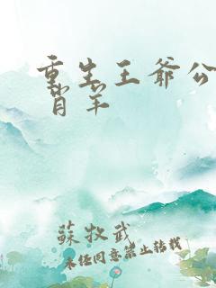 重生王爷公主妃 肖羊