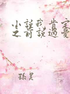 小说我肯定很久之前说过爱你小说