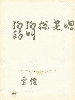 狗狗总是嗯嗯嗯的叫