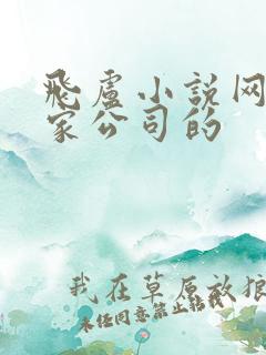 飞卢小说网是哪家公司的