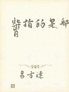 柴指的是哪个生肖