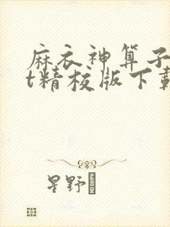 麻衣神算子txt精校版下载