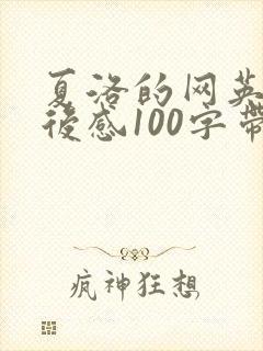 夏洛的网英语读后感100字带翻译