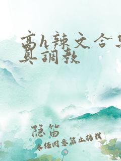 高h辣文合集道具调教