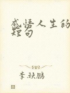 感悟人生的精辟短句