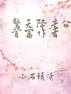 惊天降老公竟是首富作者