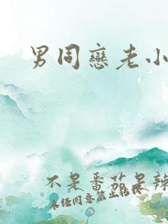 男同恋老小说