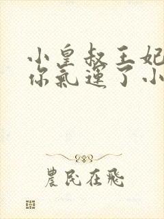 小皇叔王妃又薅你气运了小说免费阅读