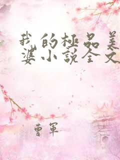 我的极品美女老婆小说全文免费读
