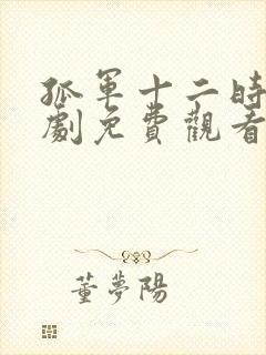 孤军十二时电视剧免费观看高清