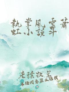 执掌风云萧峥陈虹小说斗