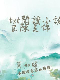 txt阅读小说良陈美锦