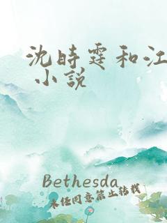 沈时霆和江晚晚 小说