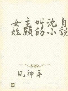 女主叫沈月男主姓顾的小说