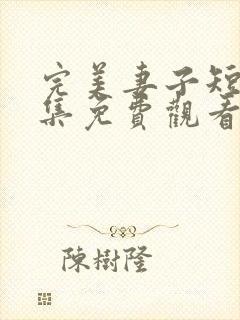 完美妻子短剧全集免费观看高清