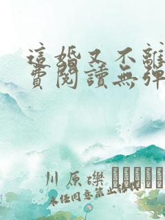 这婚又不离了免费阅读无弹窗