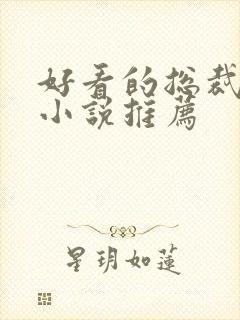 好看的总裁言情小说推荐