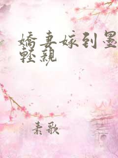 娇妻嫁到墨少轻轻亲