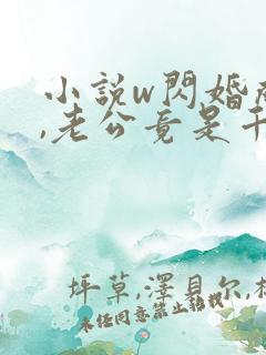 小说w闪婚成宠,老公竟是千亿大佬》