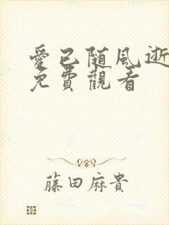 爱已随风逝短剧免费观看