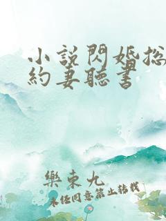 小说闪婚总裁契约妻听书