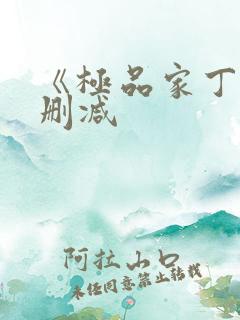 《极品家丁》无删减