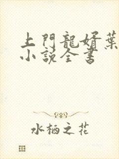 上门龙婿叶辰的小说全书