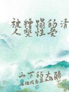被糟蹋的清冷美人双性受