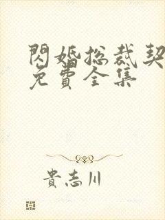 闪婚总裁契约妻免费全集