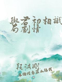 与君初相识大结局剧情