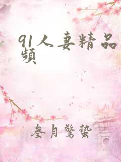91人妻精品视频