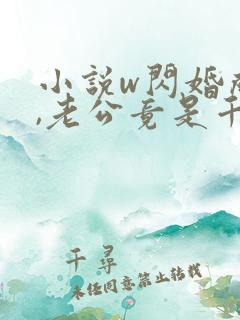 小说w闪婚成宠,老公竟是千亿大佬》