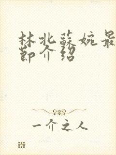 林北苏婉最新章节介绍