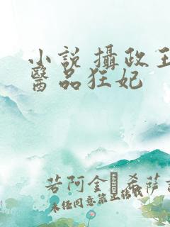 小说 摄政王的医品狂妃