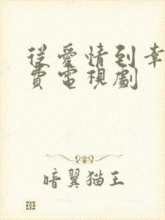 从爱情到幸福免费电视剧