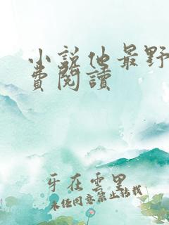小说他最野了免费阅读