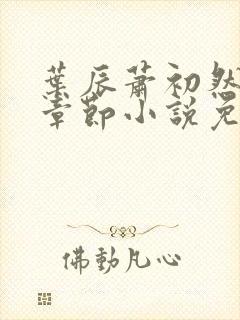 叶辰萧初然最新章节小说免费阅读