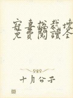 宠妻总裁坏透了免费阅读全文小说