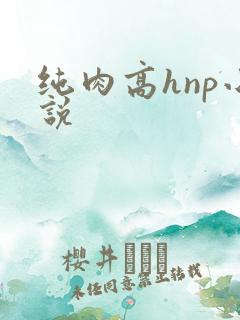纯肉高hnp小说