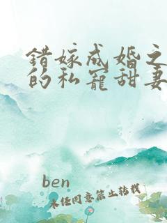 错嫁成婚之总裁的私宠甜妻完整版