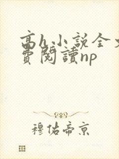 高h小说全文免费阅读np