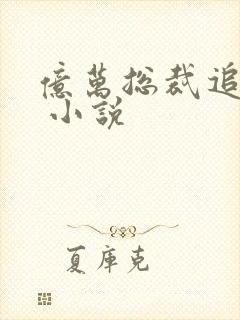 亿万总裁追甜妻 小说