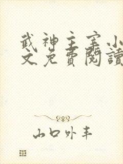 武神主宰小说全文免费阅读无弹窗