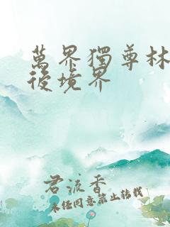 万界独尊林枫最后境界