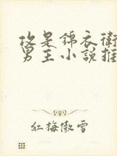 攻是锦衣卫的双男主小说推荐
